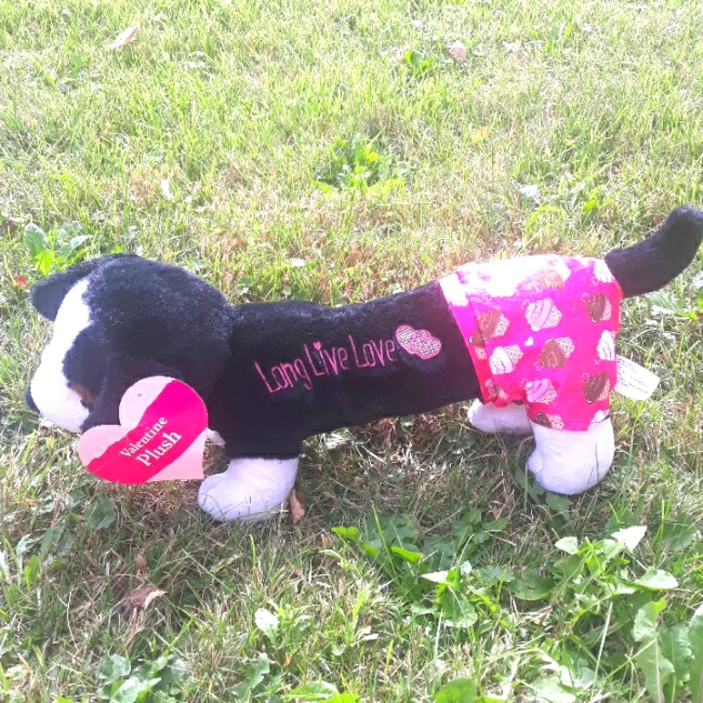 Long Live Love stuffed wiener dog, valentine themed